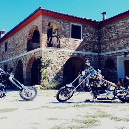 Podere Il Sasso Bed & Breakfast