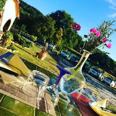 Podere Il Sasso Bed and Breakfast *