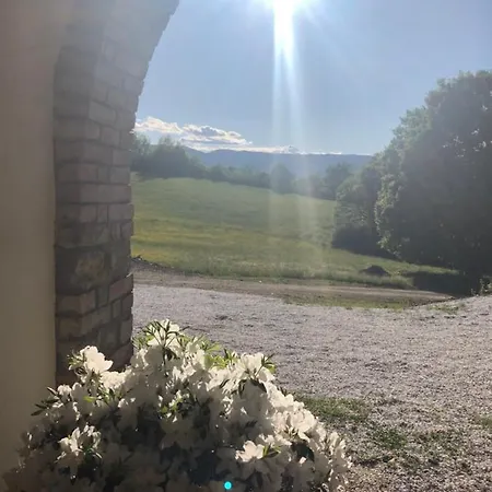 Podere Il Sasso Bed and Breakfast *