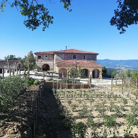Podere Il Sasso Bed and Breakfast Barberino di Mugello
